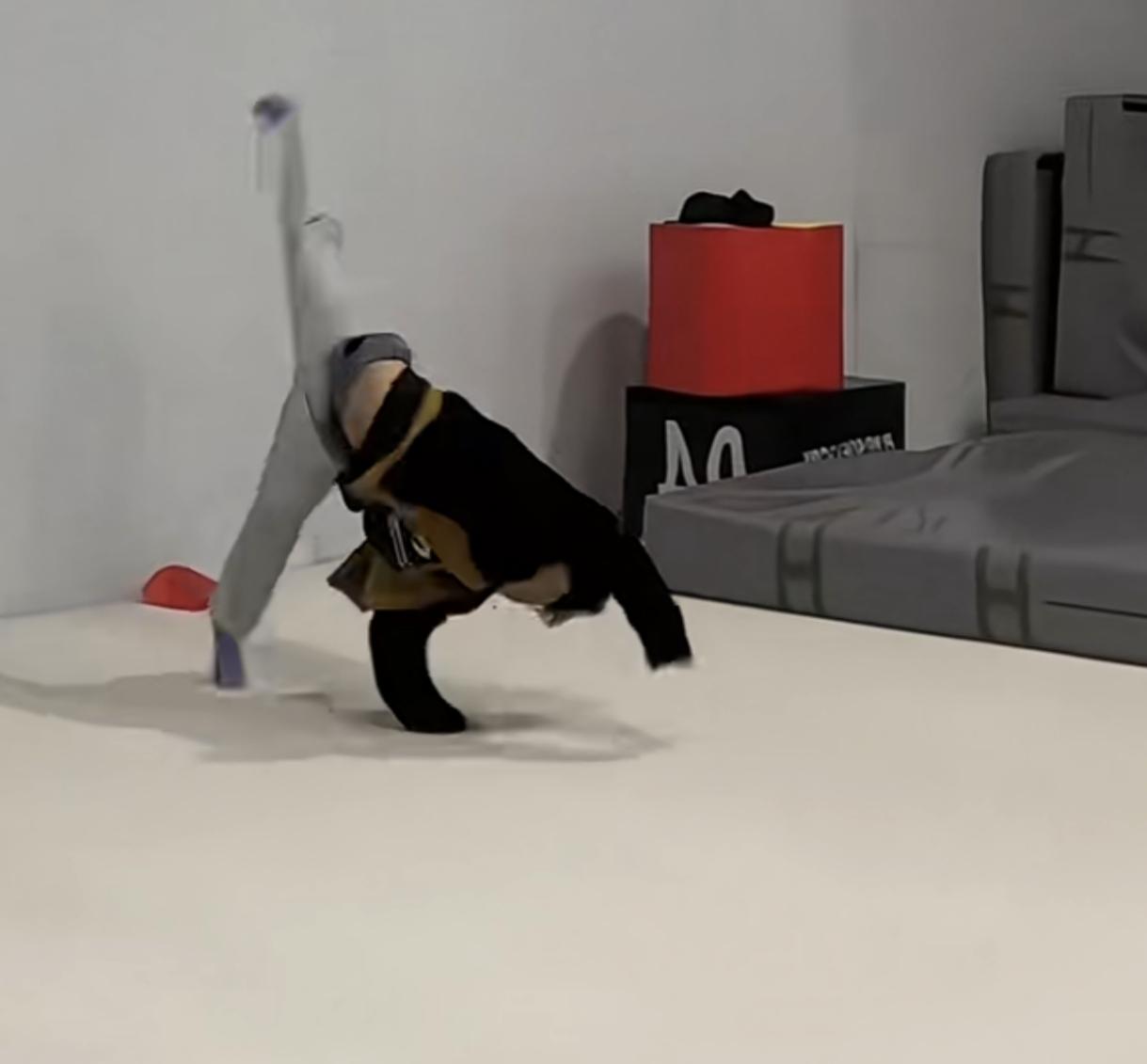 男子表演后空翻
身上的衣服越翻越少
网友：再翻下去，马赛克都跟不上了，幸亏后面有