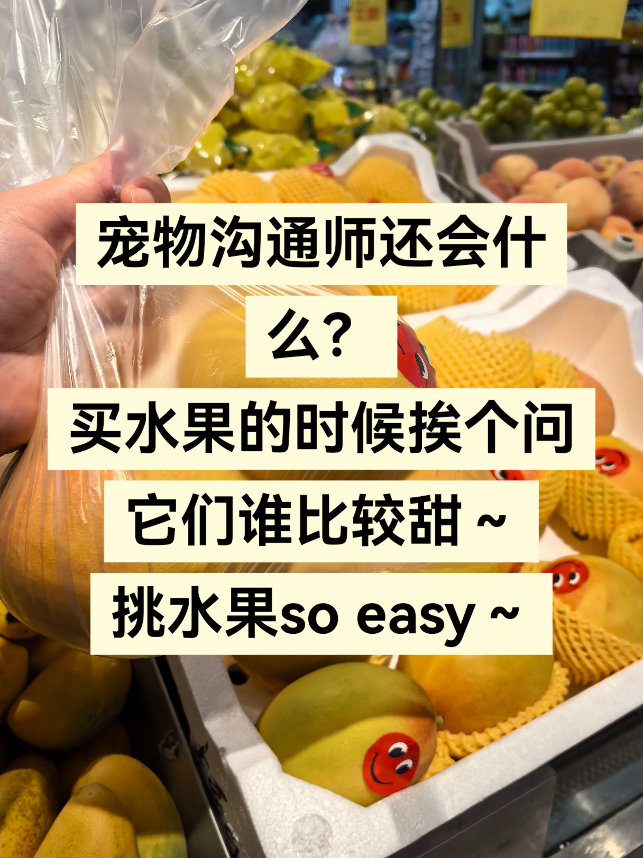 万物皆有灵 怎么挑水果 宠物沟通师 美食 优质水果