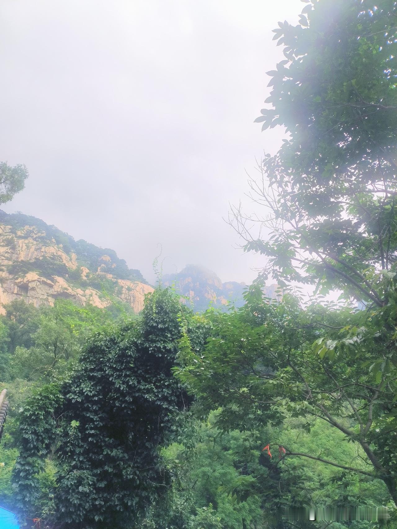 山还是那座山，人无再少年……
大巴去到泰山中天门，我们就开始步行走向南天门。
一