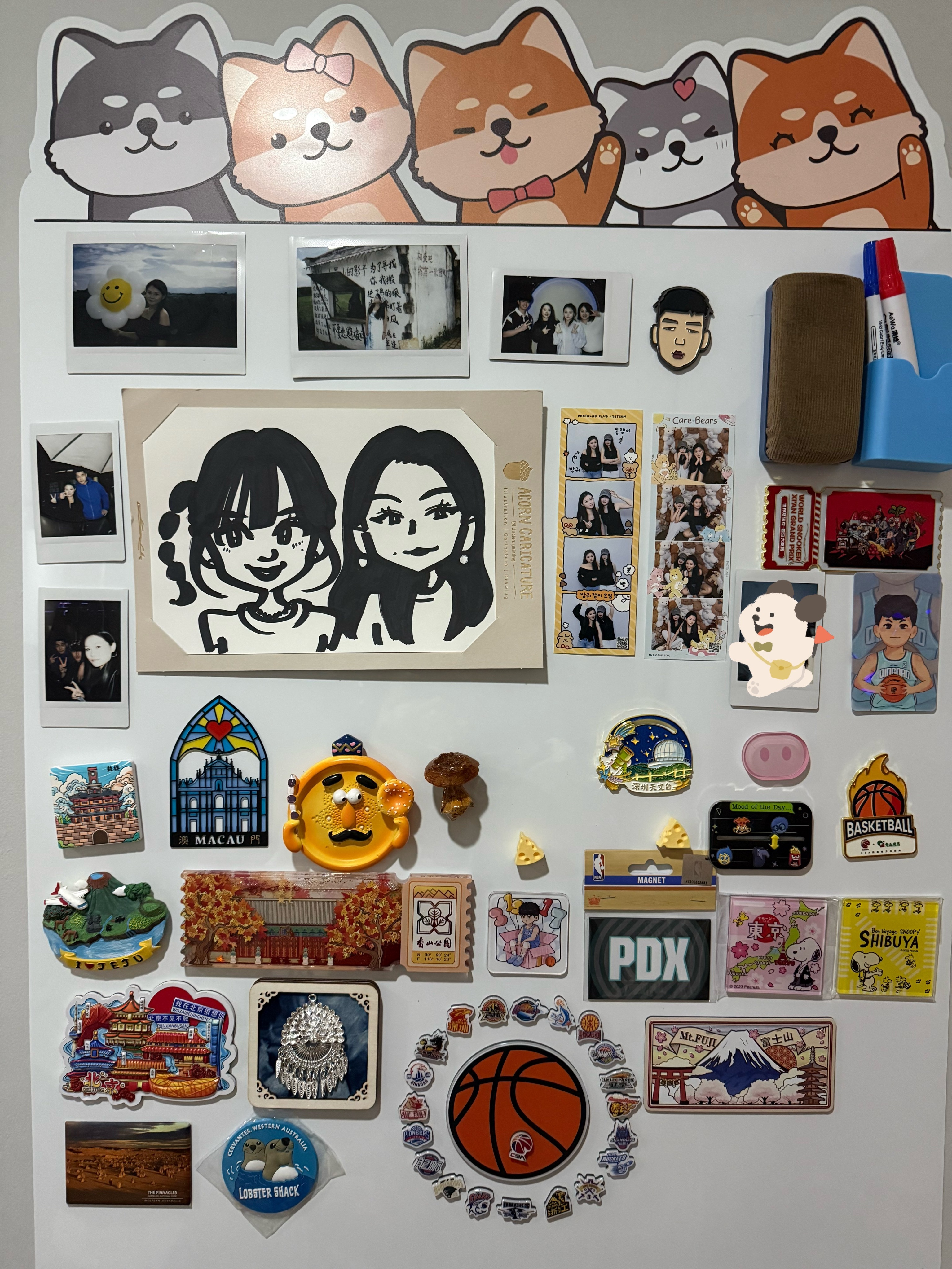 冰箱贴不下了，墙也贴了半面了……胡豆的碎碎念胡豆的日常碎片春游去