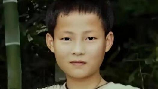 2003年，安徽男子上山挖笋意外身亡，没人察觉背后藏着惊天阴谋，十年后儿子执意开