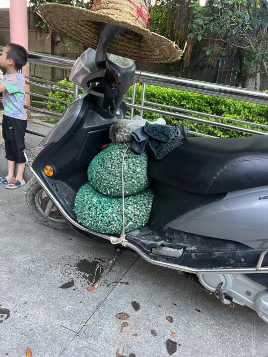 赶海的快乐你没体会过😆