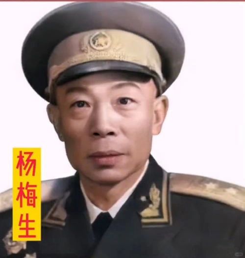 原广州军区副司令员：杨梅生将军