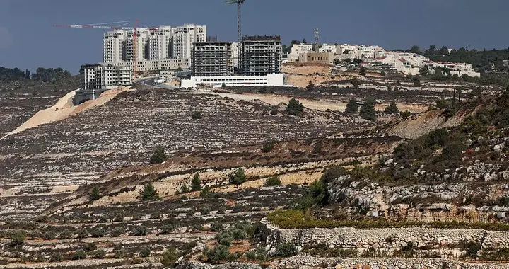 法国、英国、德国、加拿大、日本等14国发表联合声明