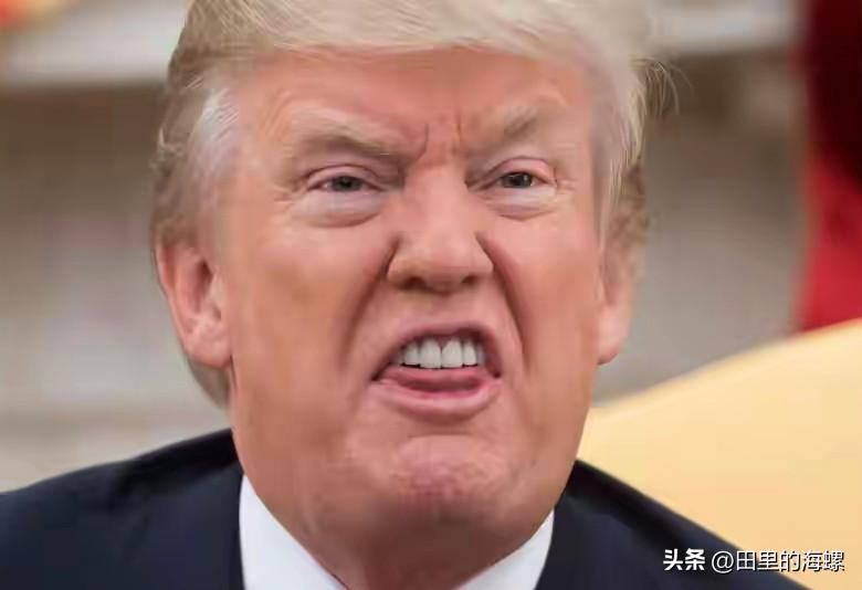 自取其辱！昨天，印度政府就美国官员3月5日宣称，将临时发放一项许可证，允许印度采