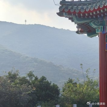 你不快乐是因为你总在比较你看见同学买了房，你觉得你不行。你看见同事升了职，你觉得