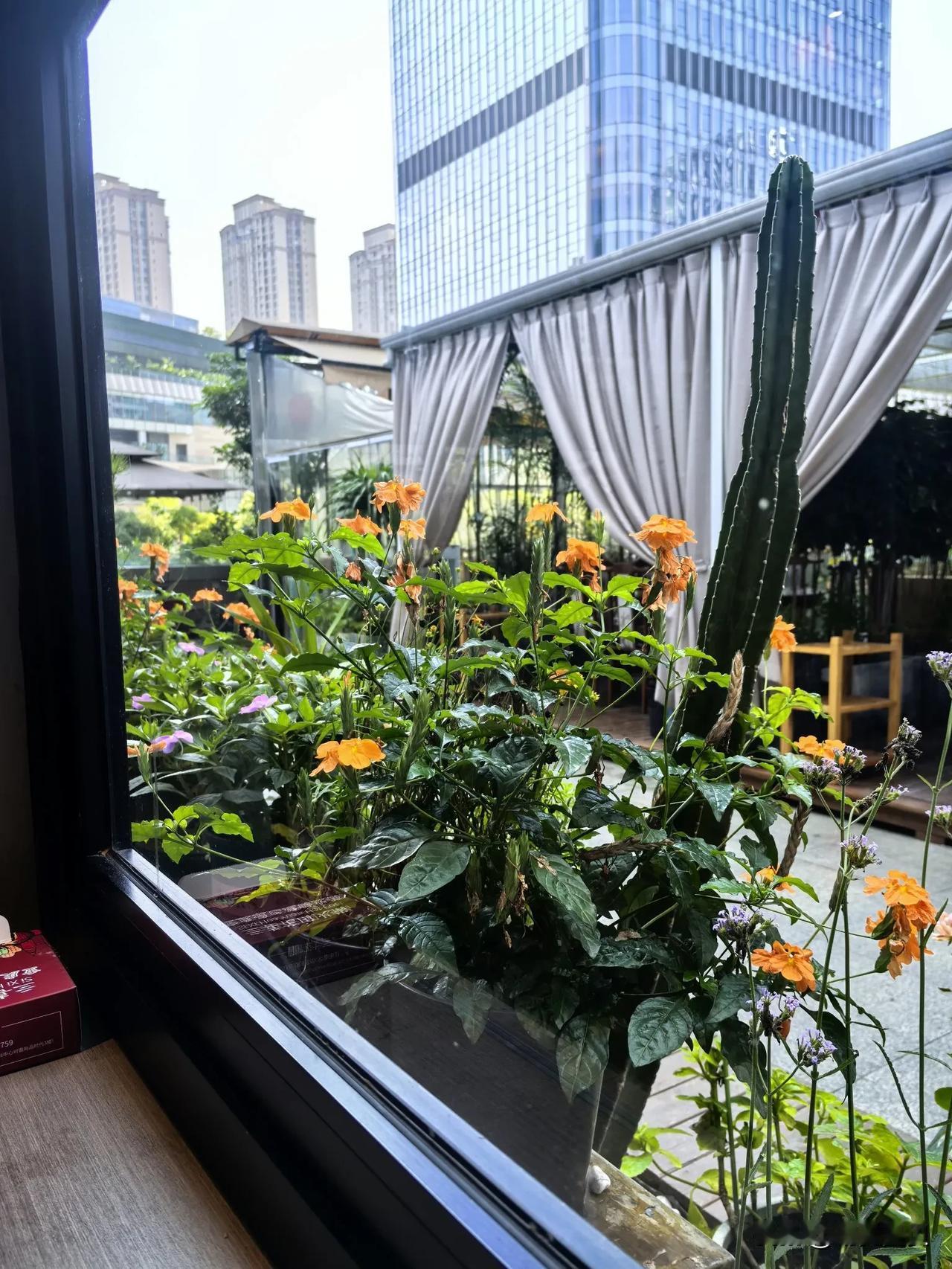 人的一生，无非就是家庭和事业。
感谢上天，让我在这个年龄有了小孩，有稳定的家庭。