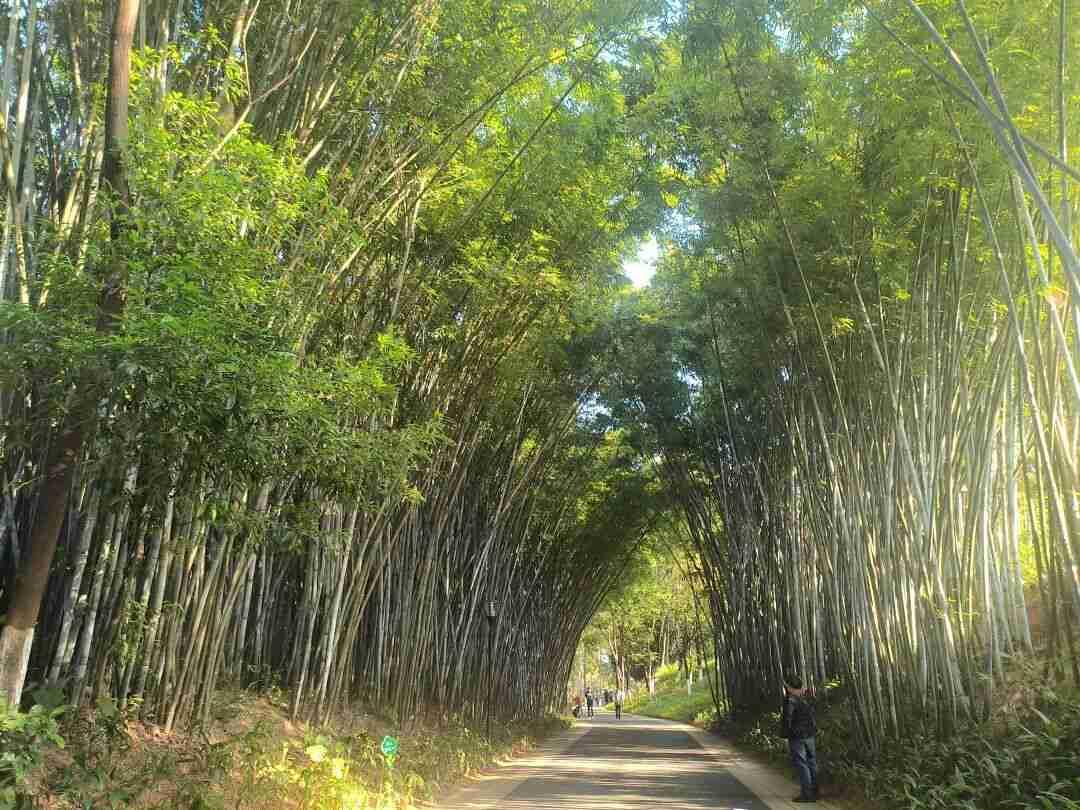 我的今日状态：😁轻松愉快
我这里的天气：☀️晴天