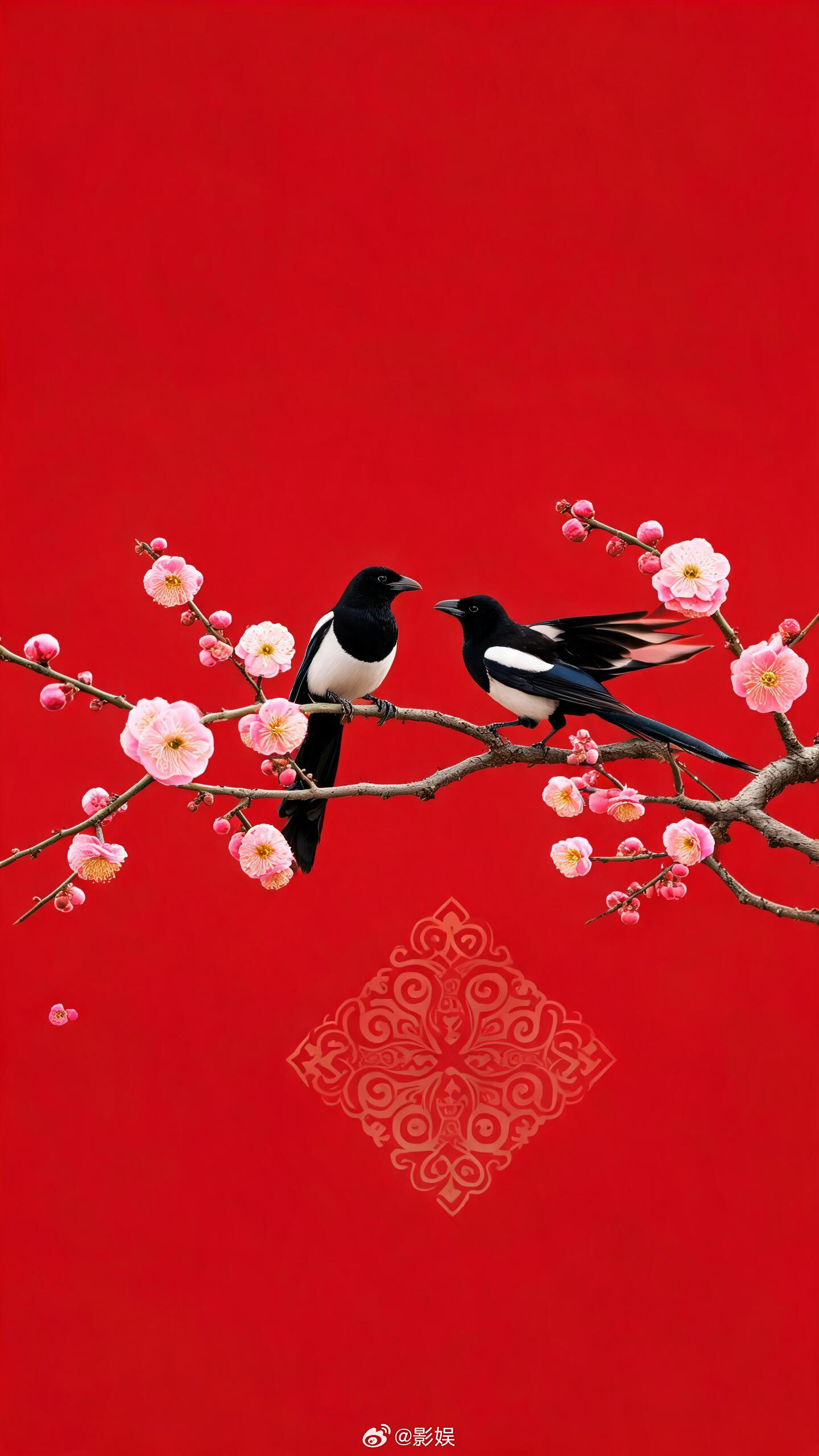 喜鹊登枝，喜运临门，万事顺心。鹊鸣声声，佳音将至，所愿皆所得。偶遇喜鹊，接住扑面