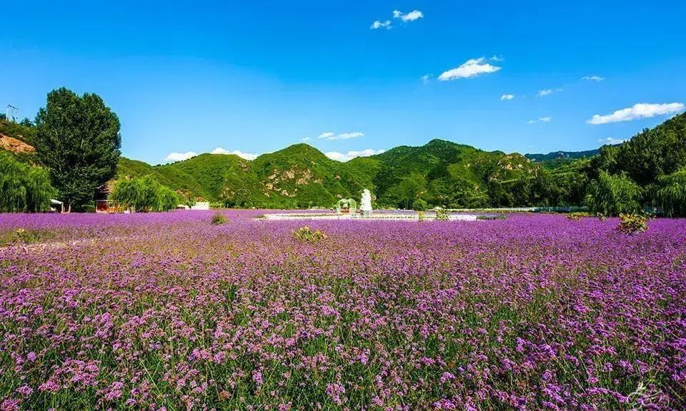 成年人最顶级的修养，就是懂得拿捏距离、守住界线。

年岁越往上走，越能体会到：真