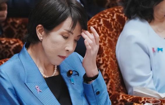 中国对钨、稀土的出口管制引发了日本化工企业乃至整个产业链的“阵痛”，美国的多方施