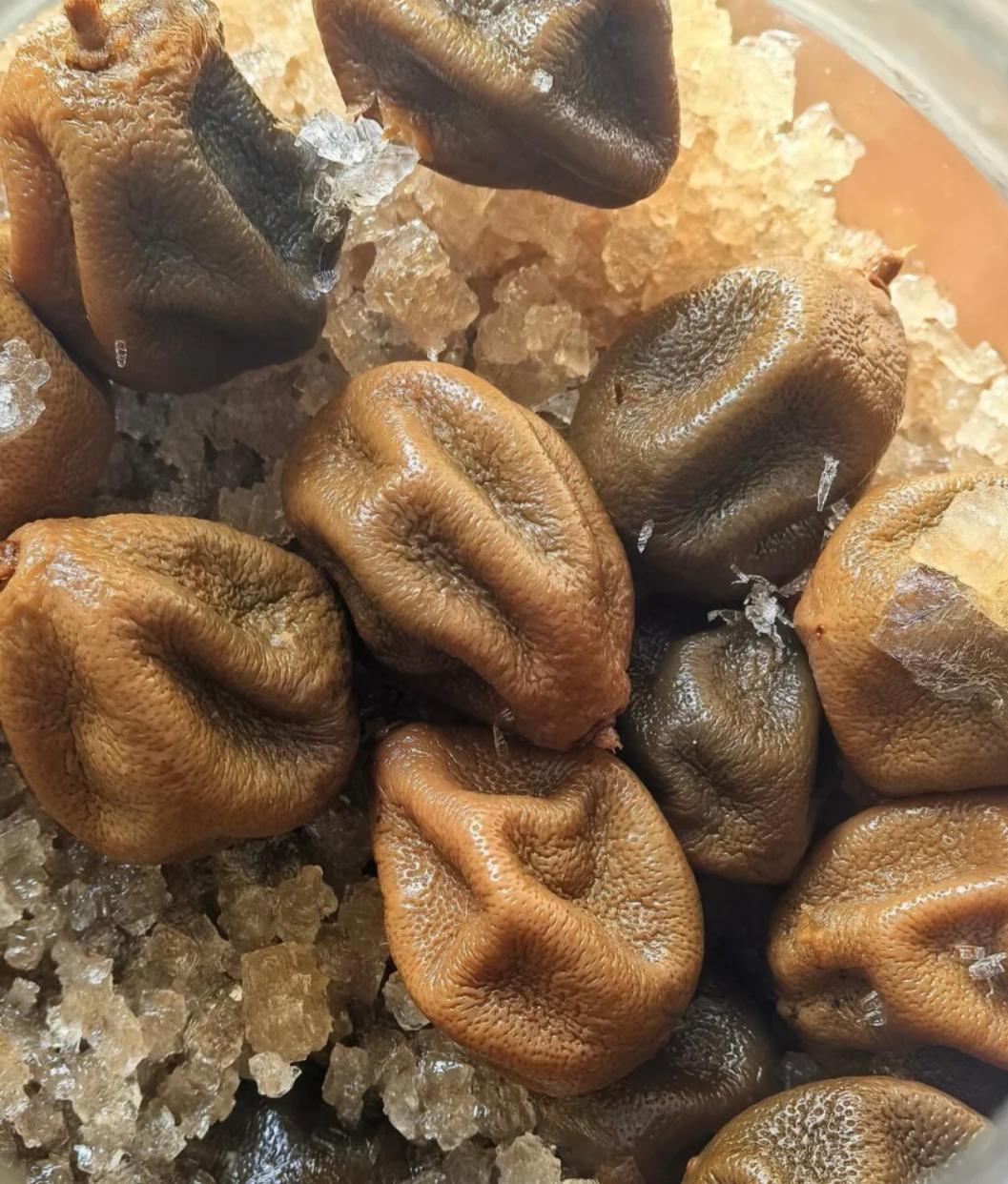 腌了6年的咸金桔，到底还能不能吃？
 
腌了6年的咸金桔还能吃吗？很多人一看黑乎