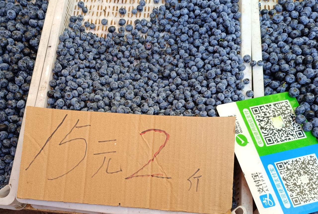 今年的蓝莓便宜了，看到15元两斤忍不住买了两斤，学着做蓝莓酱。

    把蓝莓