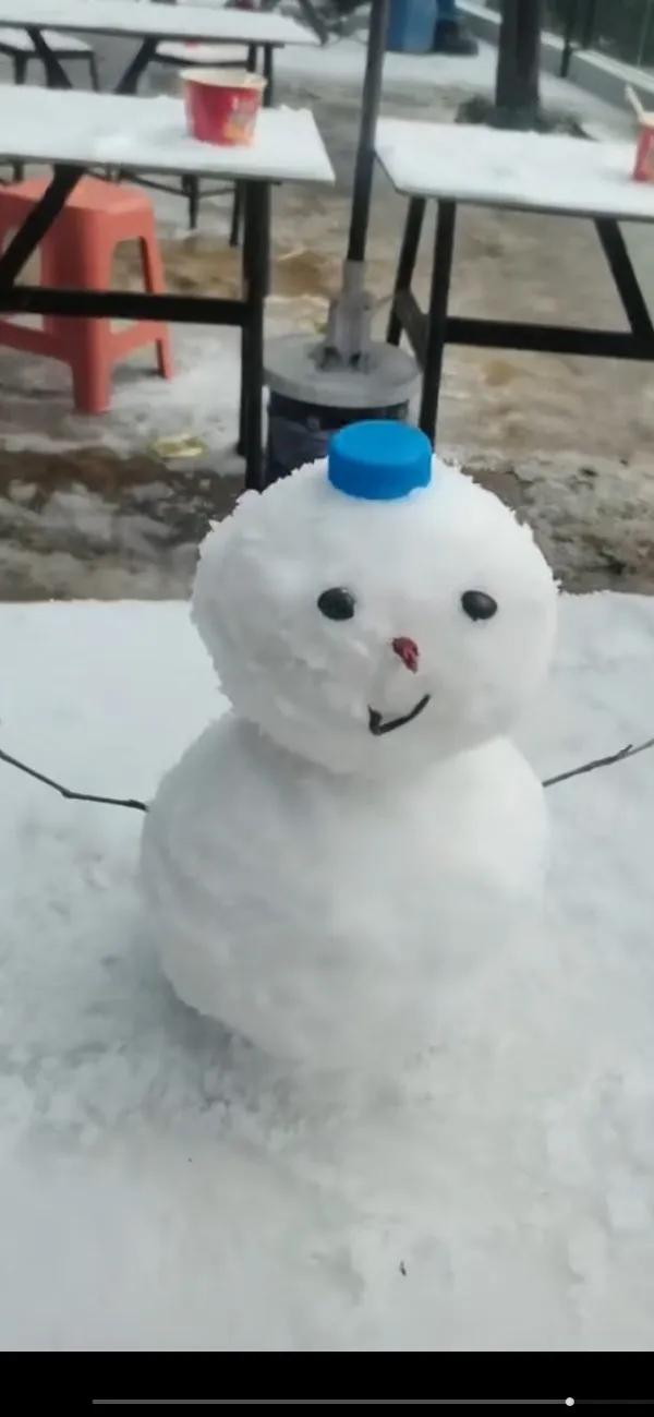 我顶着碎雪做的头发
捏个圆球当脸颊
纽扣是星星掉的牙
扫把杆儿撑着小腰板儿站得挺