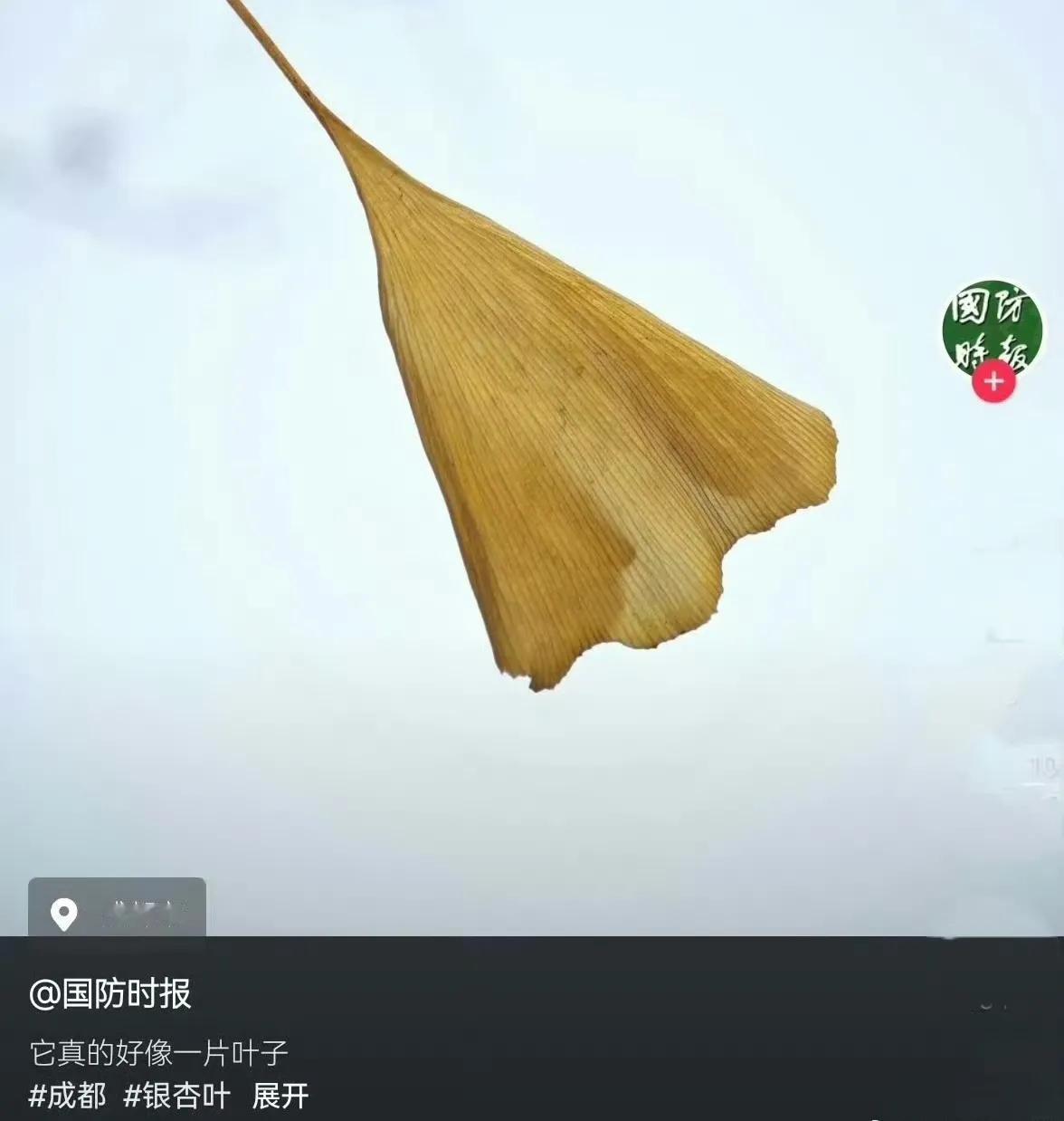 你知不知道我们在过圣诞节了，跟你们过年一样，你们不打算让我们好好的过个节吗！前些