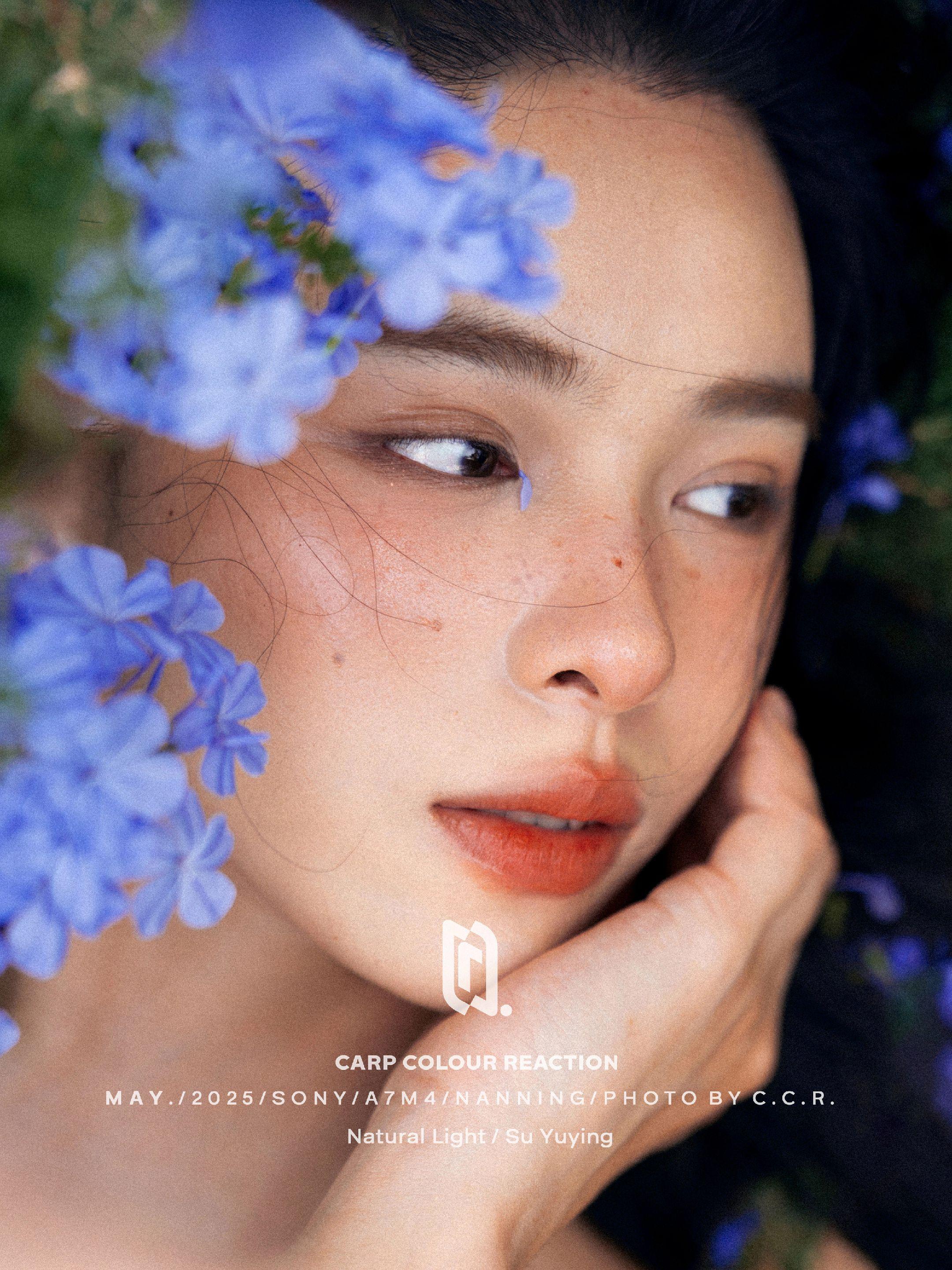 长焦和广角的搭配才是拍照该有的样子！长焦温柔且安静，广角交代环境，搭配...