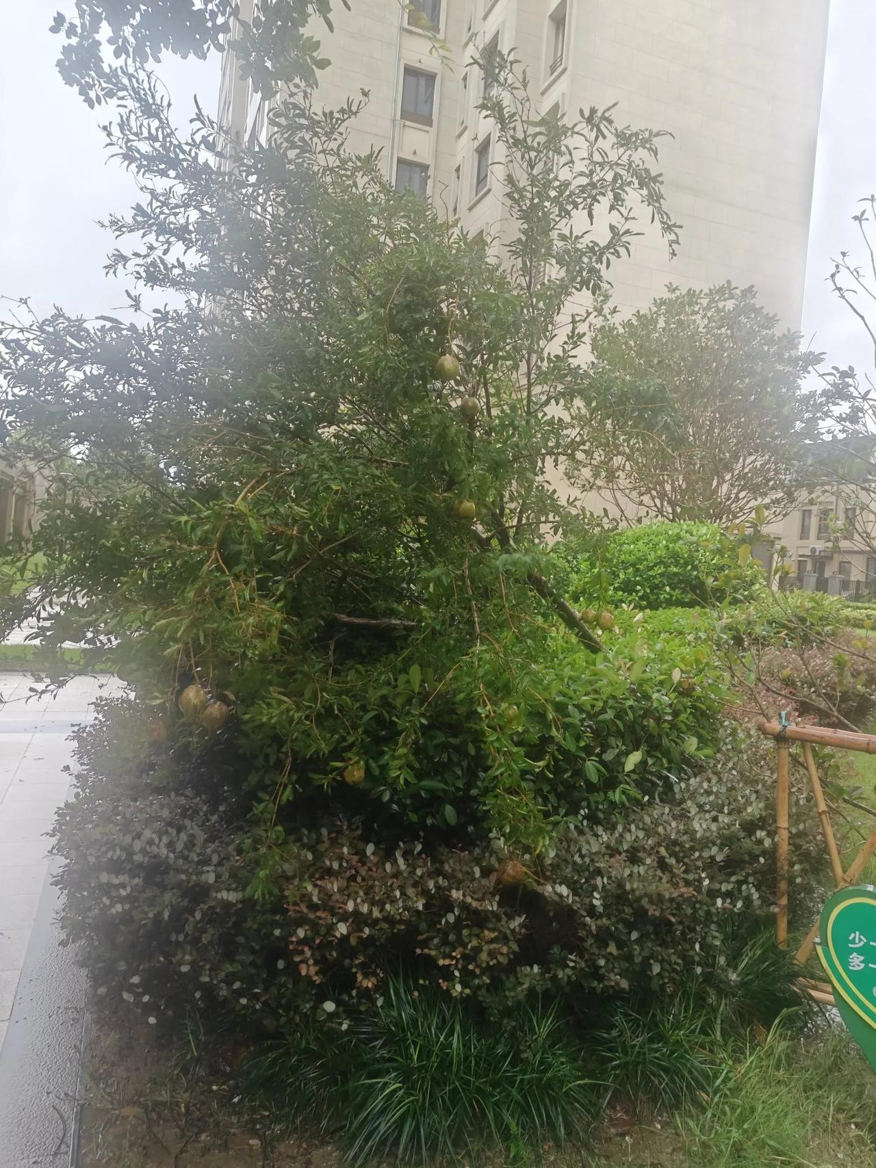 女权捍卫者什么都要争，诉求都是男女要平等，但凡有一点吃亏都受不了。但奇怪的是，对