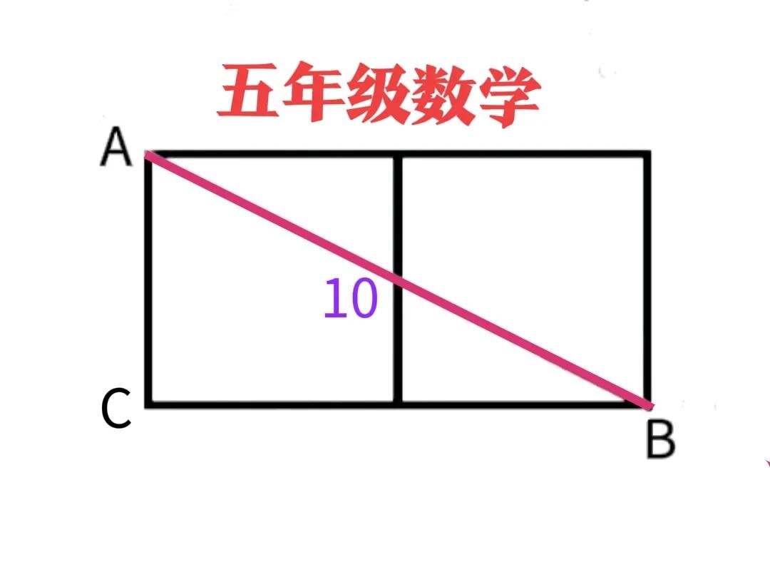 “团灭、在所难免！”长方形仅对角线长已知，咋求其面积？这是一道小学五年级数学思考