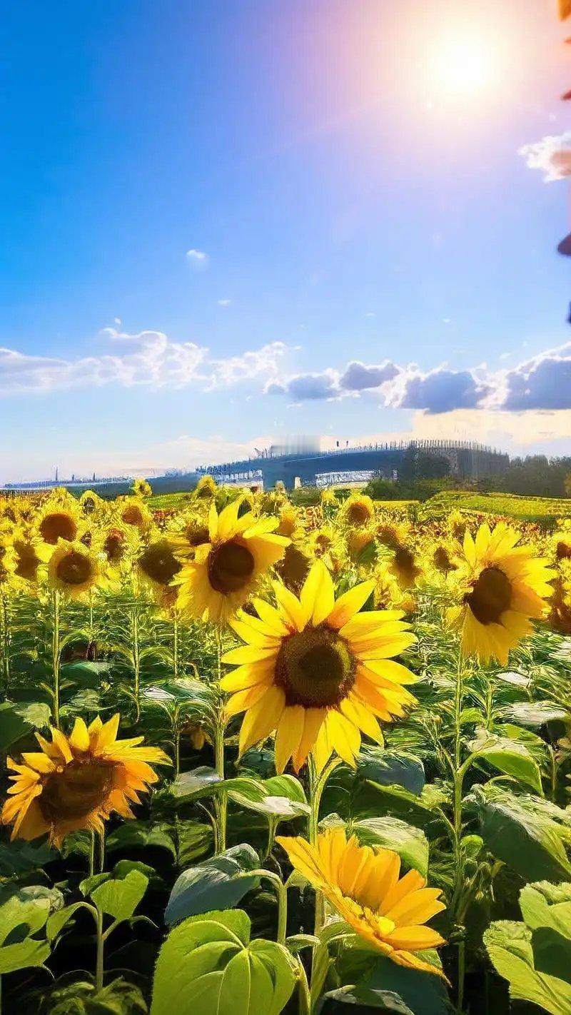 在外的日子，总习惯对家人藏起辛苦，独自面对所有风雨。但那些不经意的温暖、默默的相