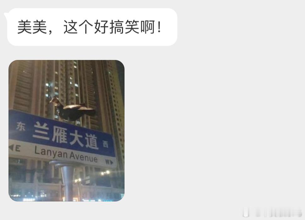 指示牌上的【疣鼻栖鸭】 ​​​