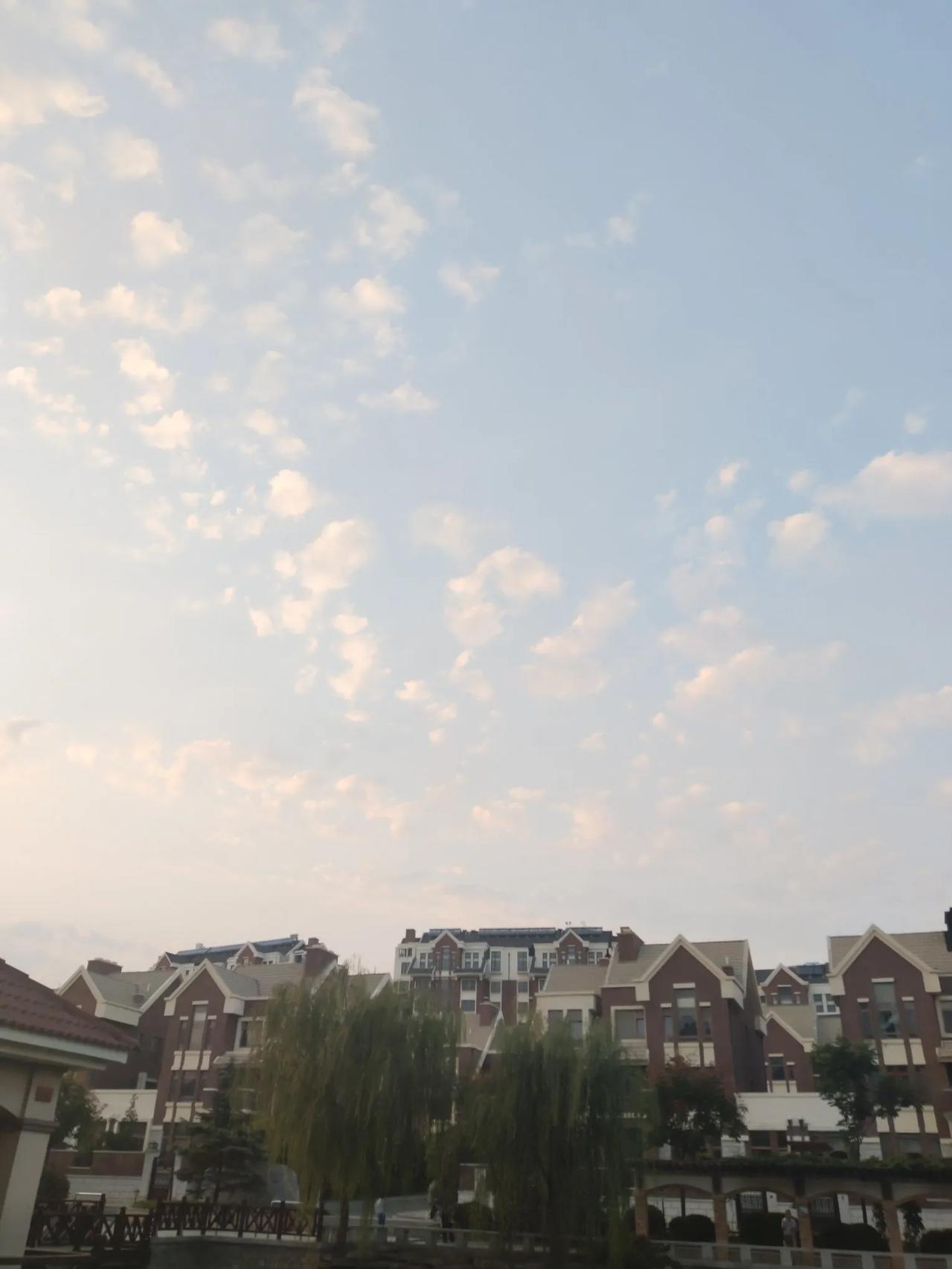 今天下午，陪老娘看了，两个拥有独门独院的地方，本来计划是，老娘看中，满意的话，就