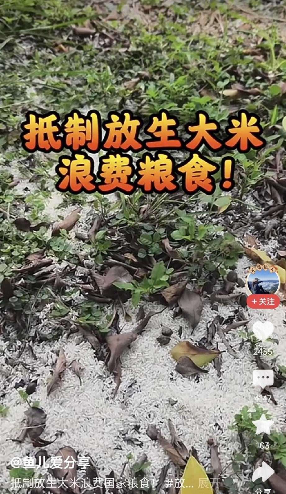 何为放生？

刚才看到一个视频，说的是有人到野外放生大米，把白生生的大米倒在荒郊
