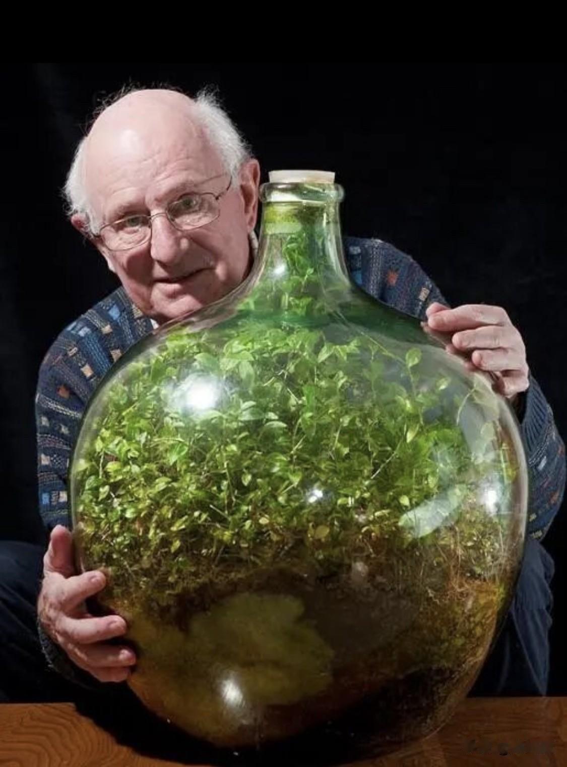 这张照片展示了一个广为人知的科学趣闻，讲述了英国退休工程师大卫·拉蒂默（Davi