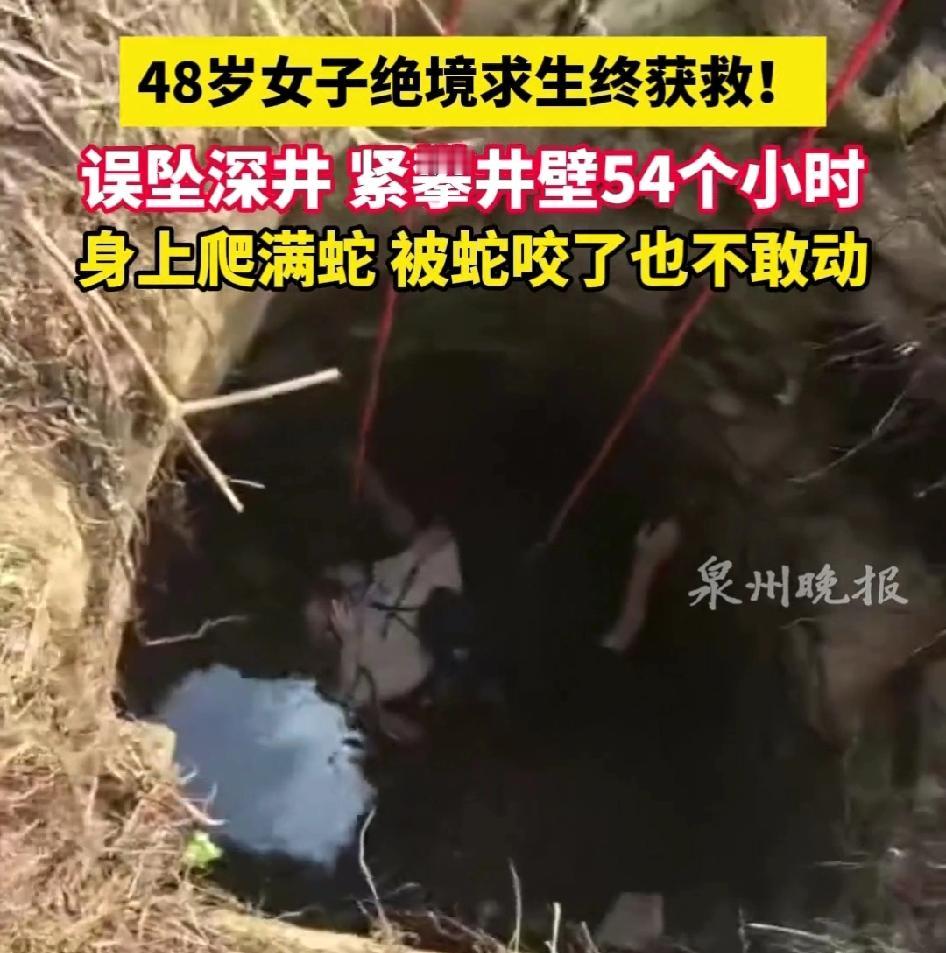 48岁女子坠深井，牢攀井壁，被多条蛇攀爬咬伤，也不敢动，咬牙坚持54小时

晋江