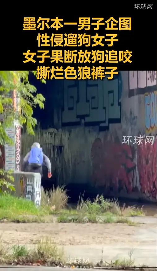 万万没想到！澳洲墨尔本这出“色狼遇 《汪汪队》”的大戏，简直比电影还解气！

家