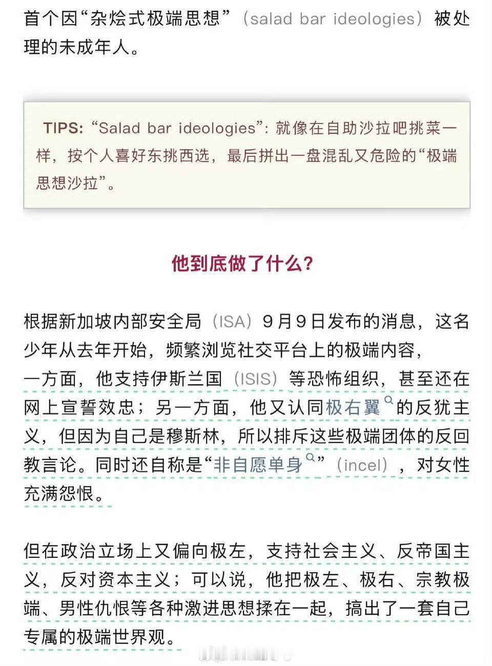 能把各种不同的极端思想融到一身的“杂烩式极端思想”，这也算是一个精神分裂到极致的