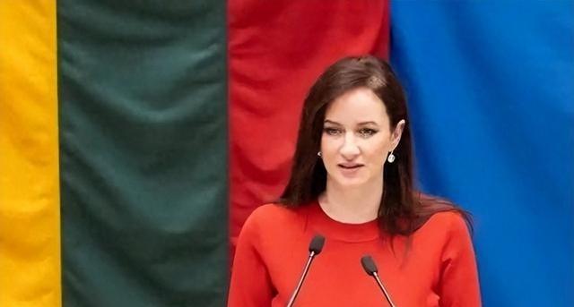 外交人员已撤离，中国方面提出的条件，立陶宛准备全部接受。可能很多网友刷到这条消息