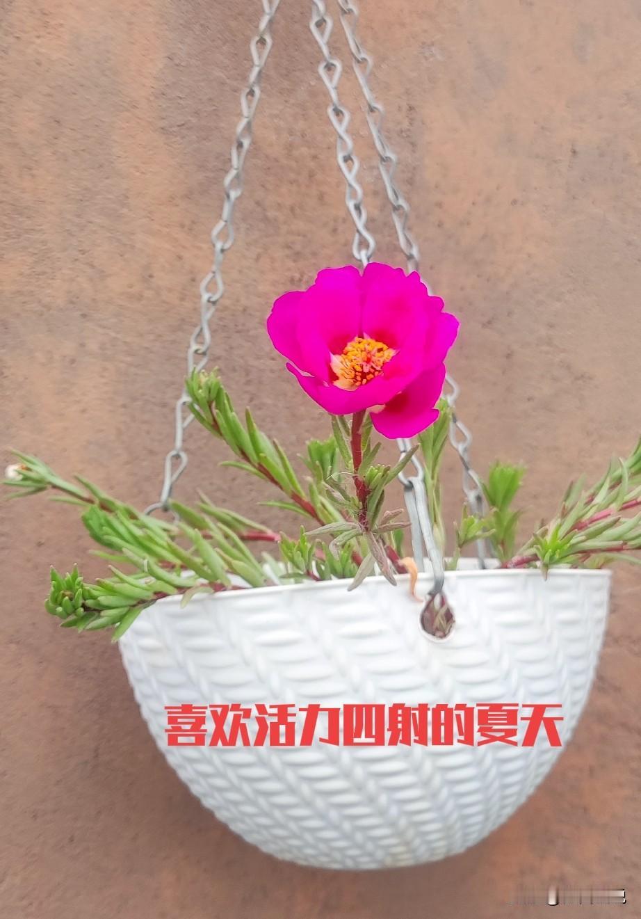 我喜欢夏天，
夏天有无尽的绿意，
生机勃勃。
我喜欢夏天，
夏天有瓢泼大雨，
能
