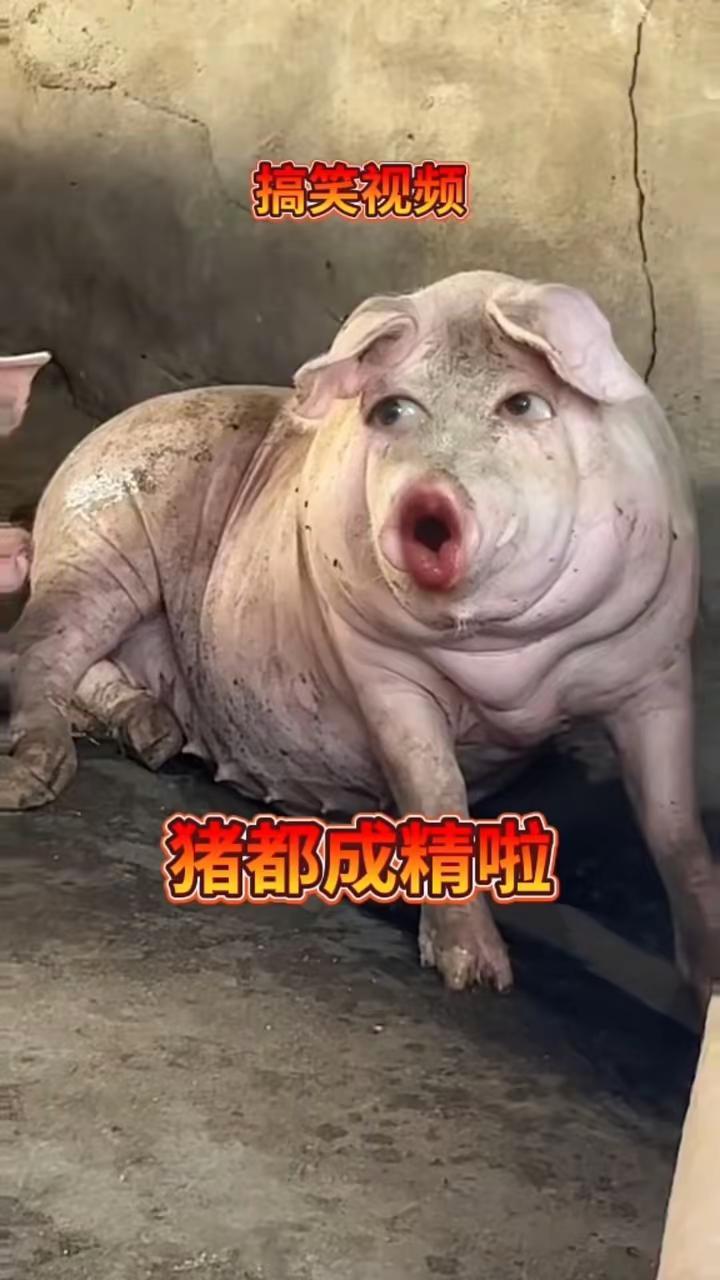 出发去创作 搞笑视频