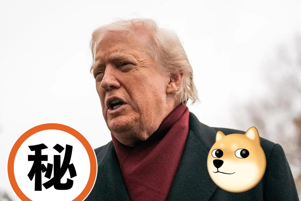 美国白宫发布声明表示了！

当地时间11月24日，美国白宫发布声明表示，总统特朗