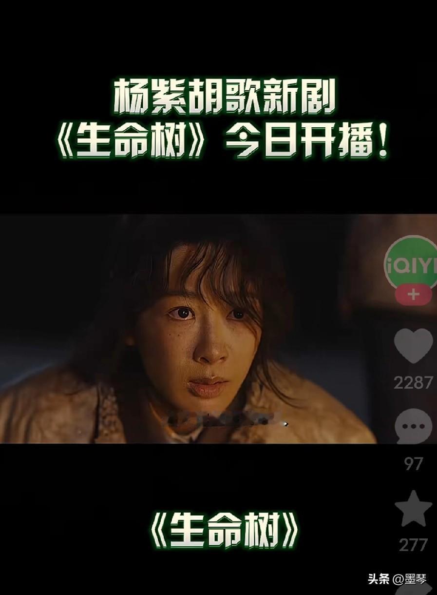 演员 有多敬业，看杨紫和胡歌共同出演的《生命树》就知道！


该剧不仅剧情真实，