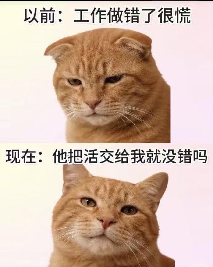 十二，天地否闭塞不通，上下不和注意呼吸，肠胃，头部除日小吉，利断舍离宜：求医 出