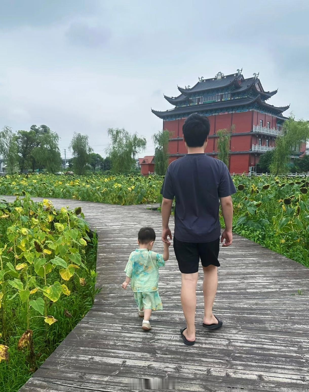 突然发现爸爸更适合带娃 ​​​