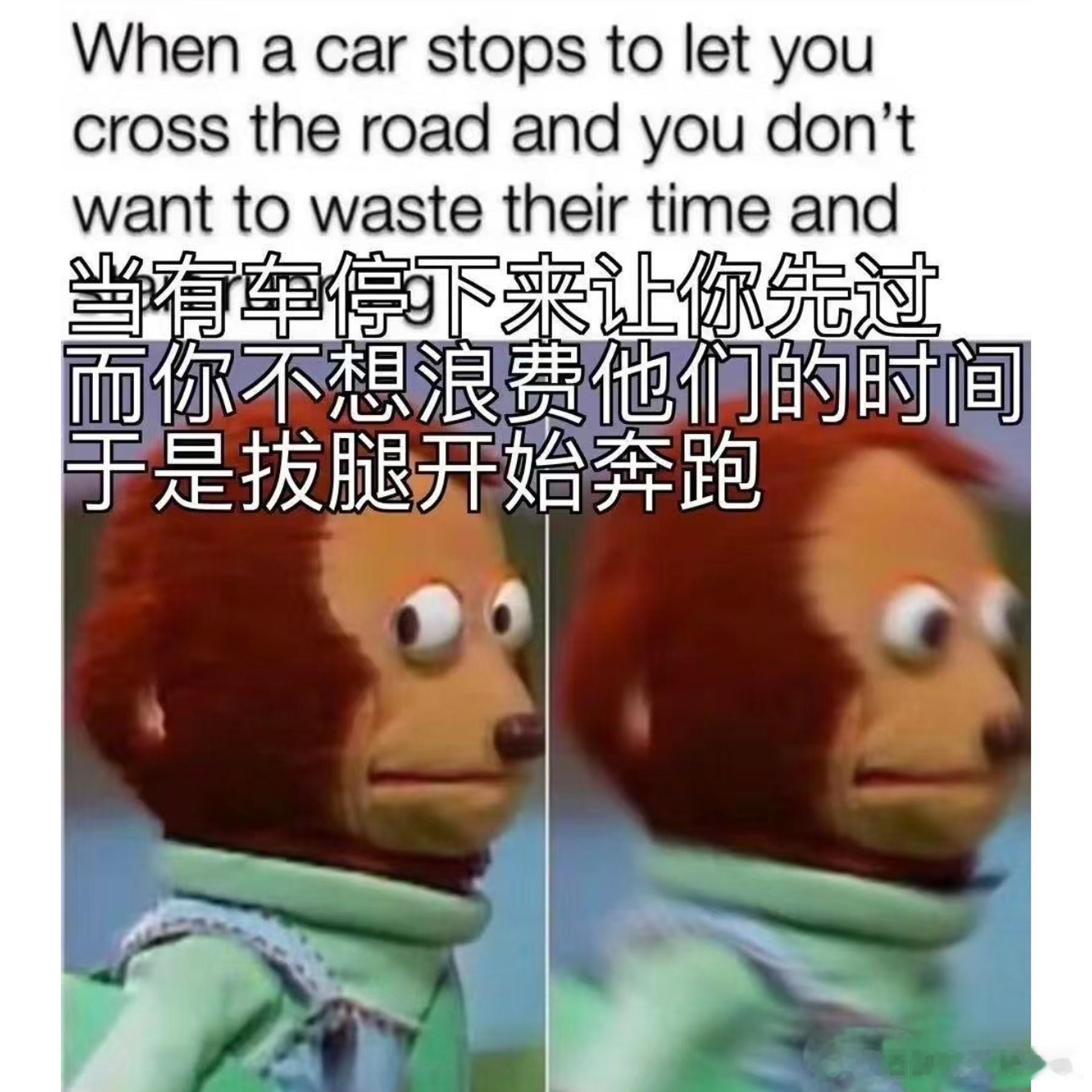 哈哈哈这不就是我嘛 ​​​