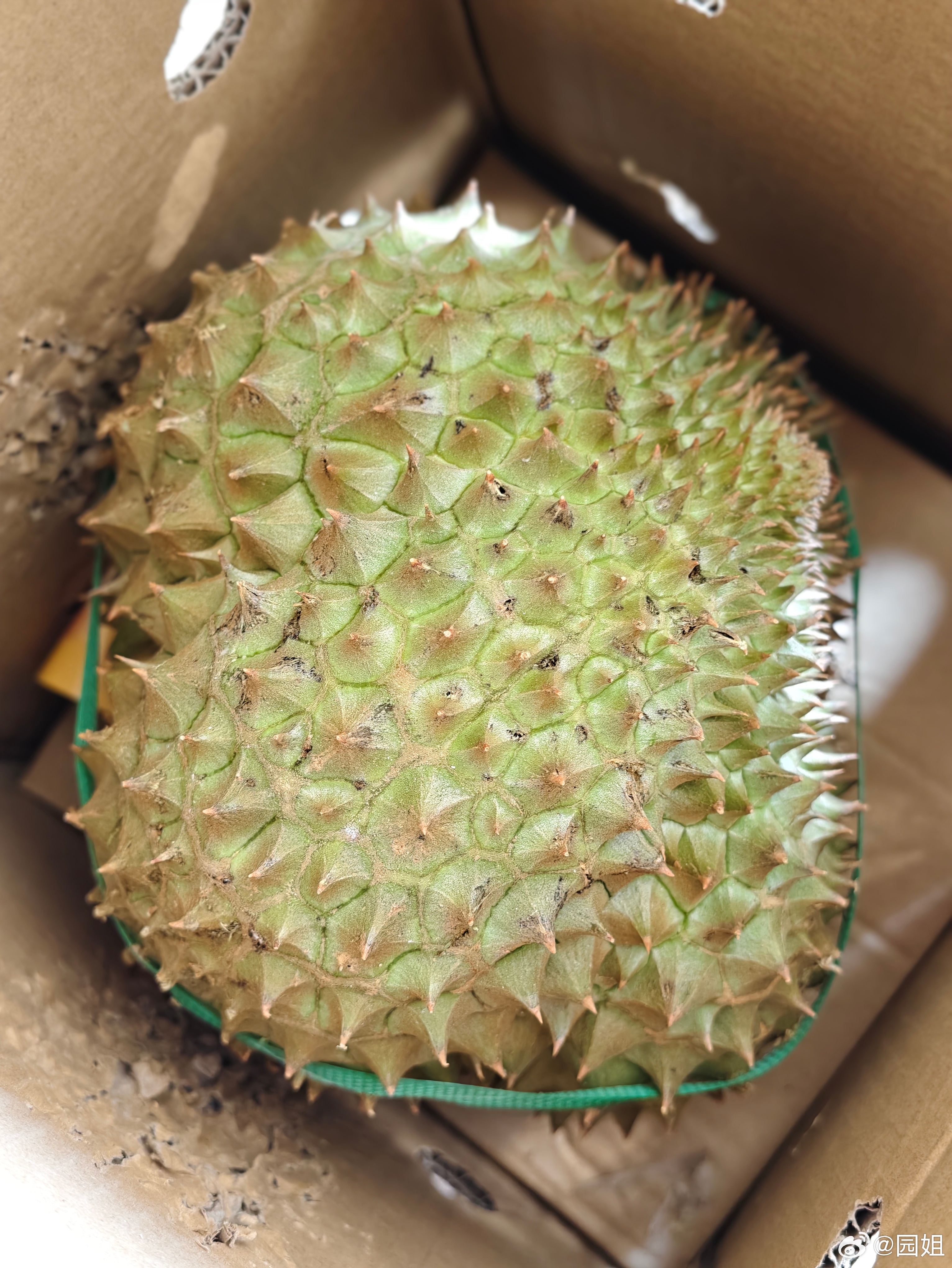 朋友给邮寄了一个榴莲，没裂开也不知道熟了没也不敢打开