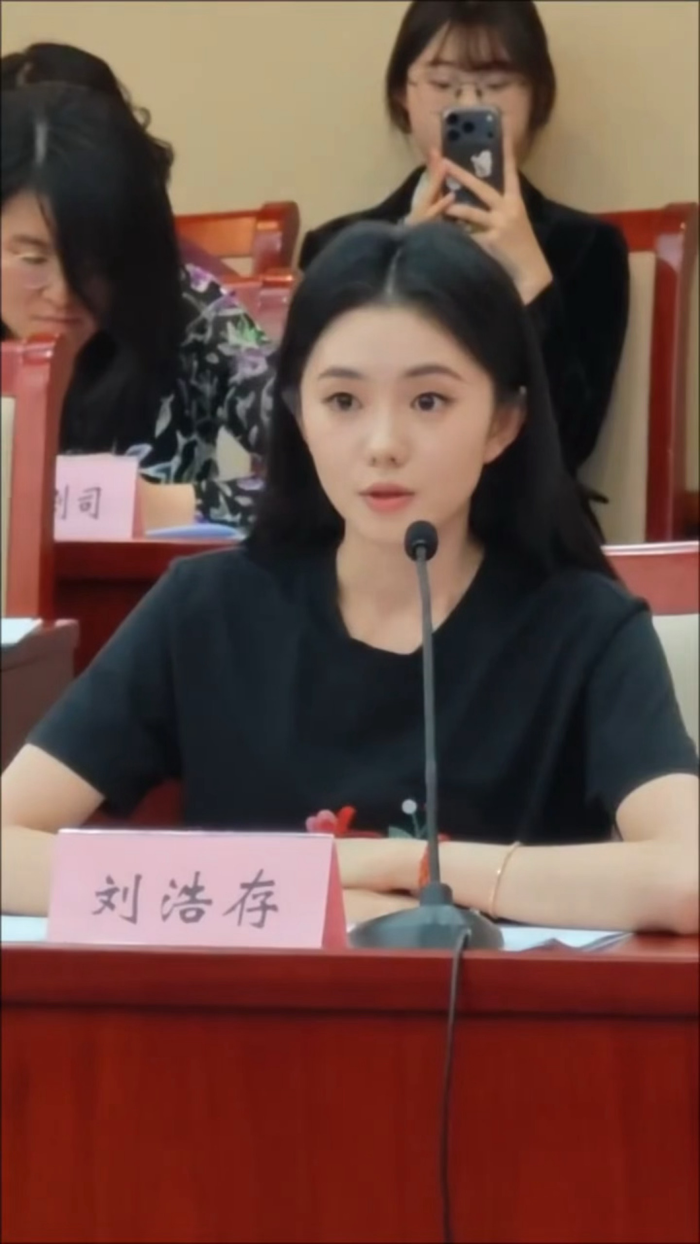 娥参加座谈会belike：刘浩存主角座谈会生图