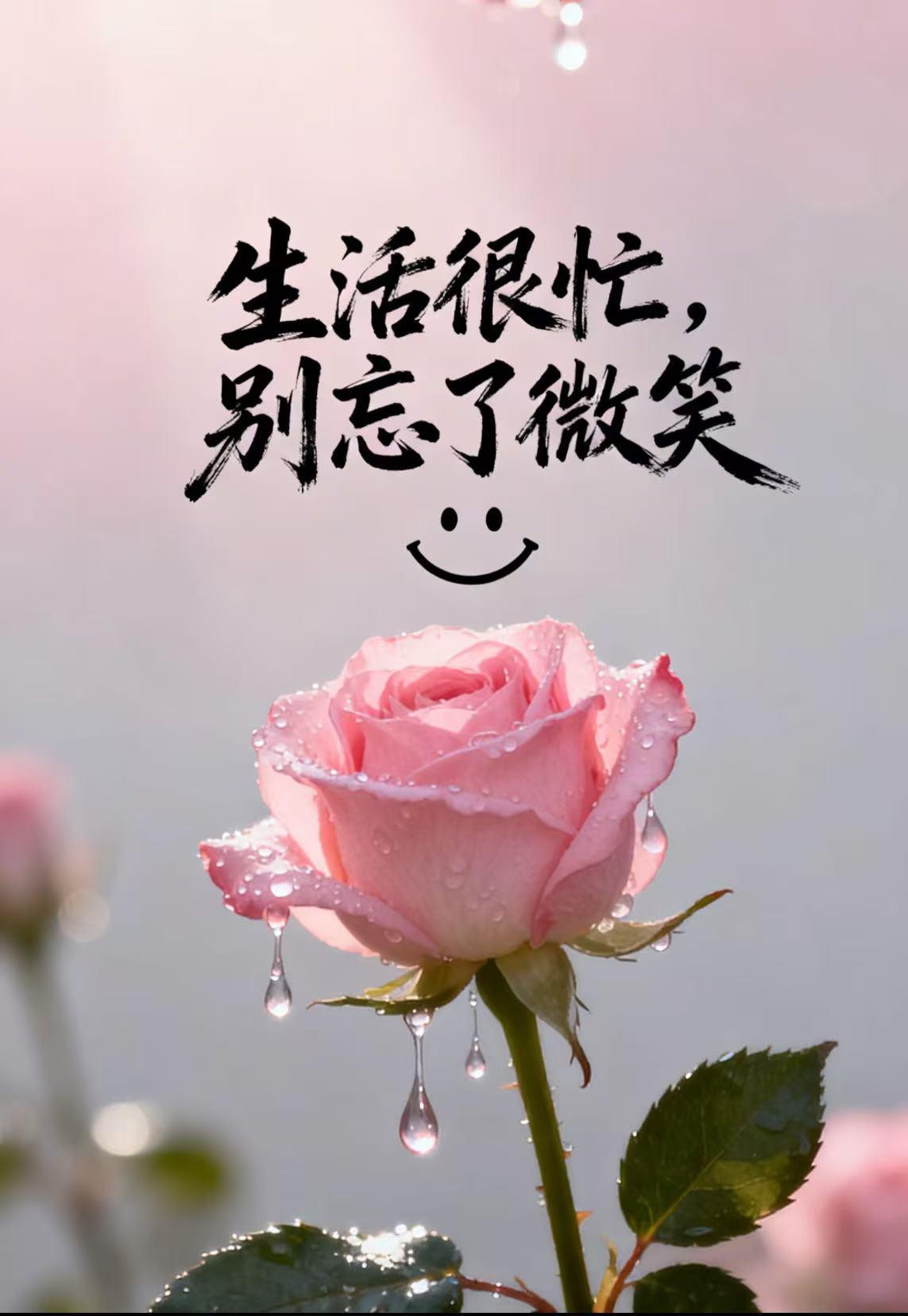 当下最该珍惜的，是眼前的人、
健康的身体，和还能好好生活的每一天。

别等失去才