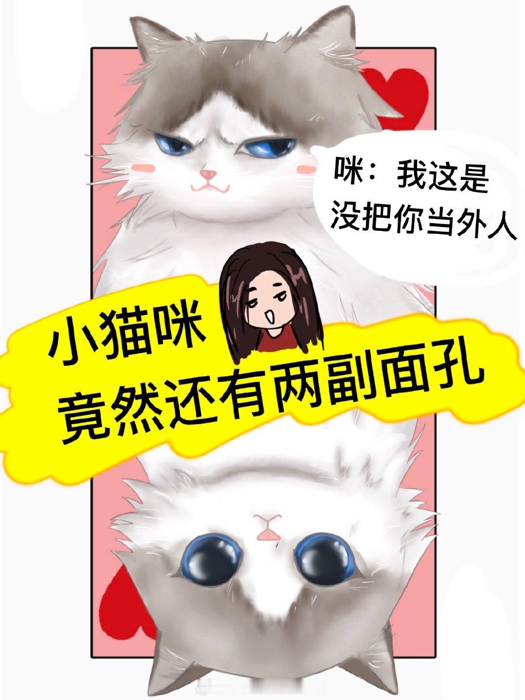 原来宠物也有AB面暑假冲浪计划生活趣事狂想曲 （