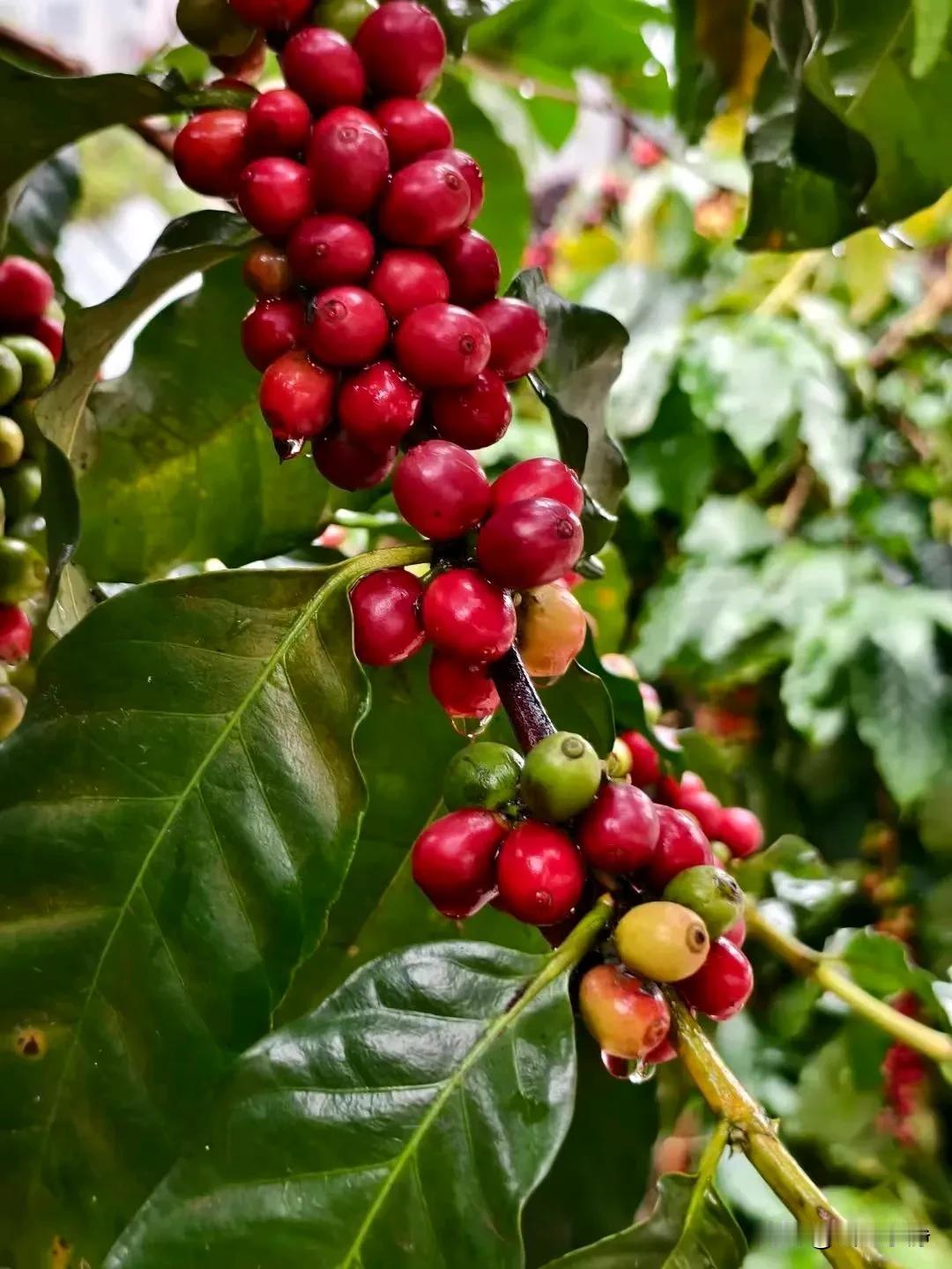 最顶级的自律：人上不傲，人下不卑，人前不炫！
愿你我都能拥有低调的远见和谦逊的智