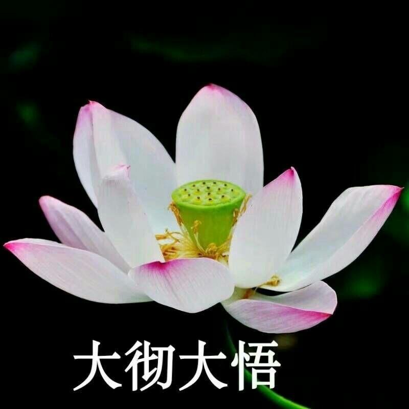 夏日生活打卡季