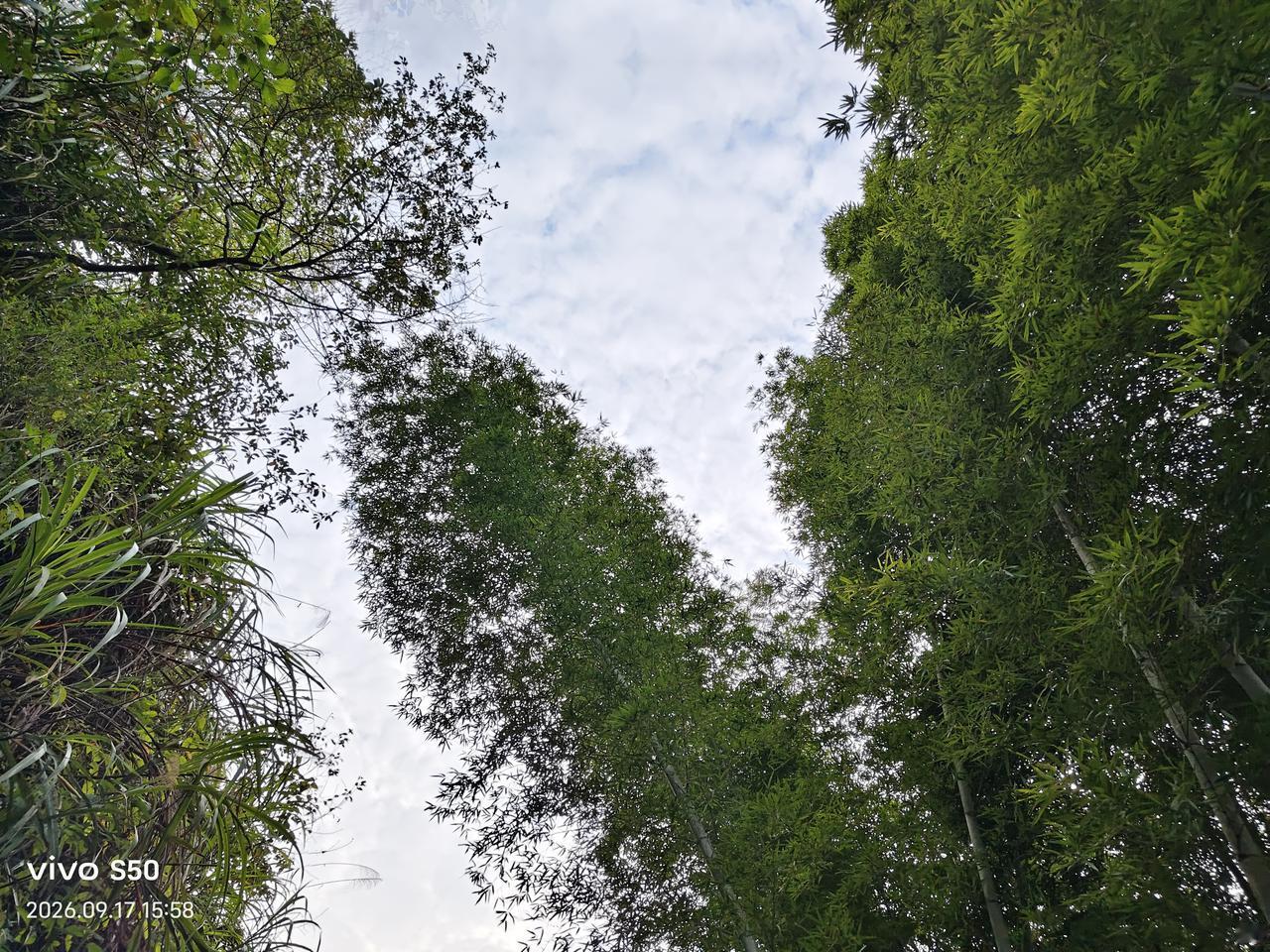 @豆包 帮我点评