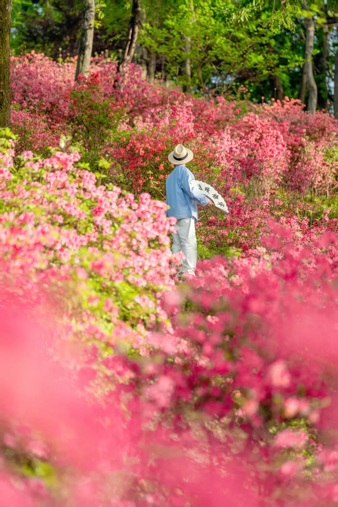 以为杭州已经够美了，直到我去了这皖南小镇