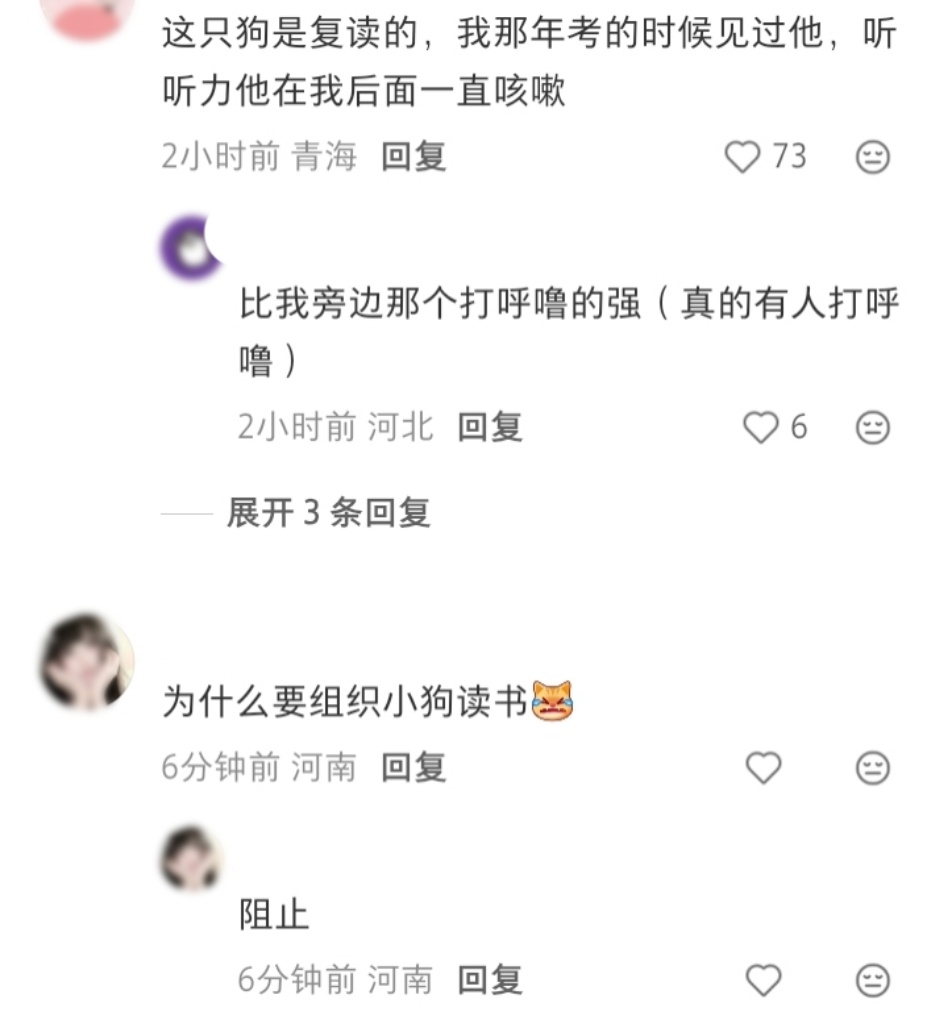 读过书吗小狗就上车 