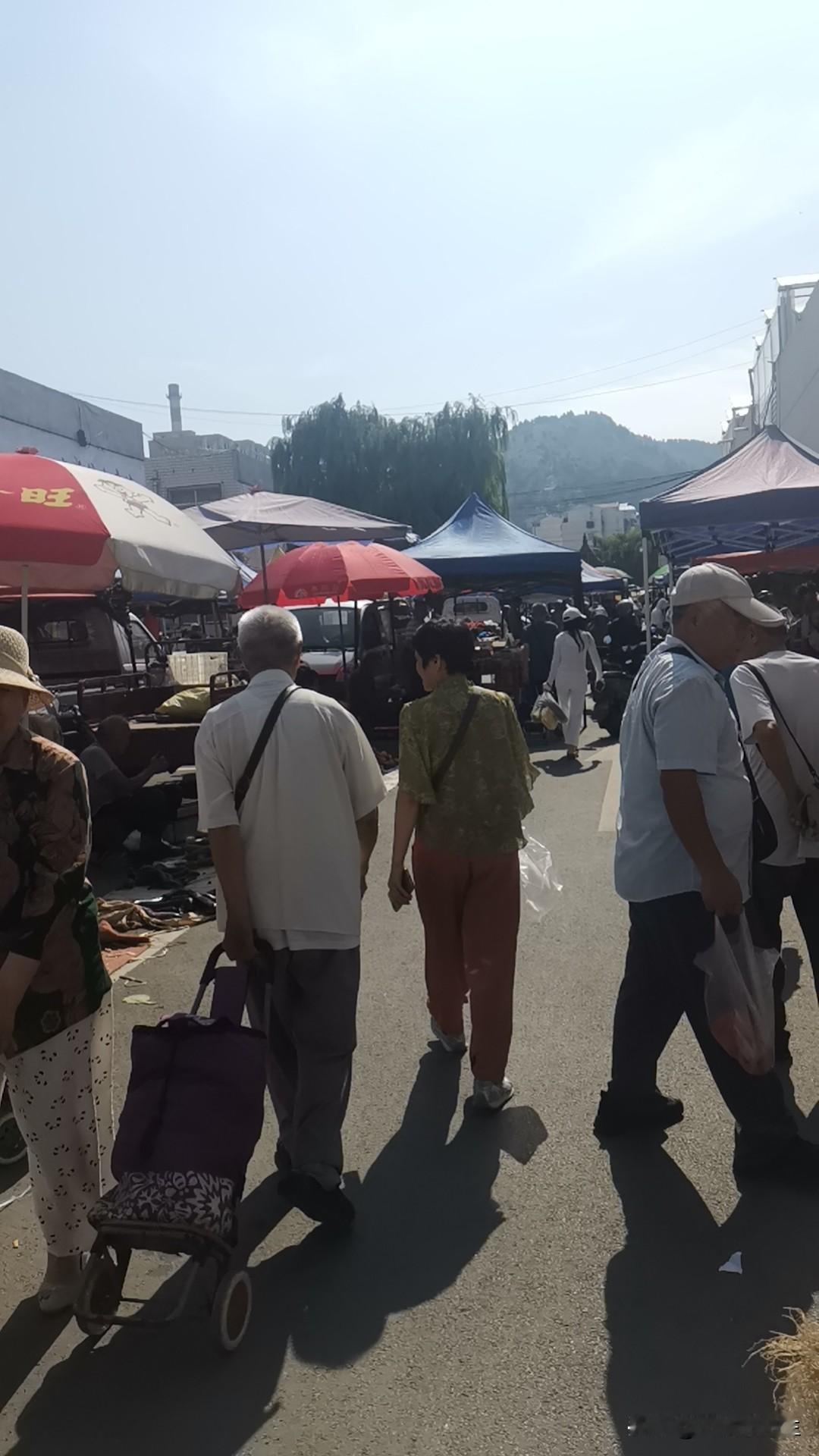 真的是老人社会了，在济南西南七贤大集上，卖菜的除了商贩，就是近郊农民叔叔阿姨了。