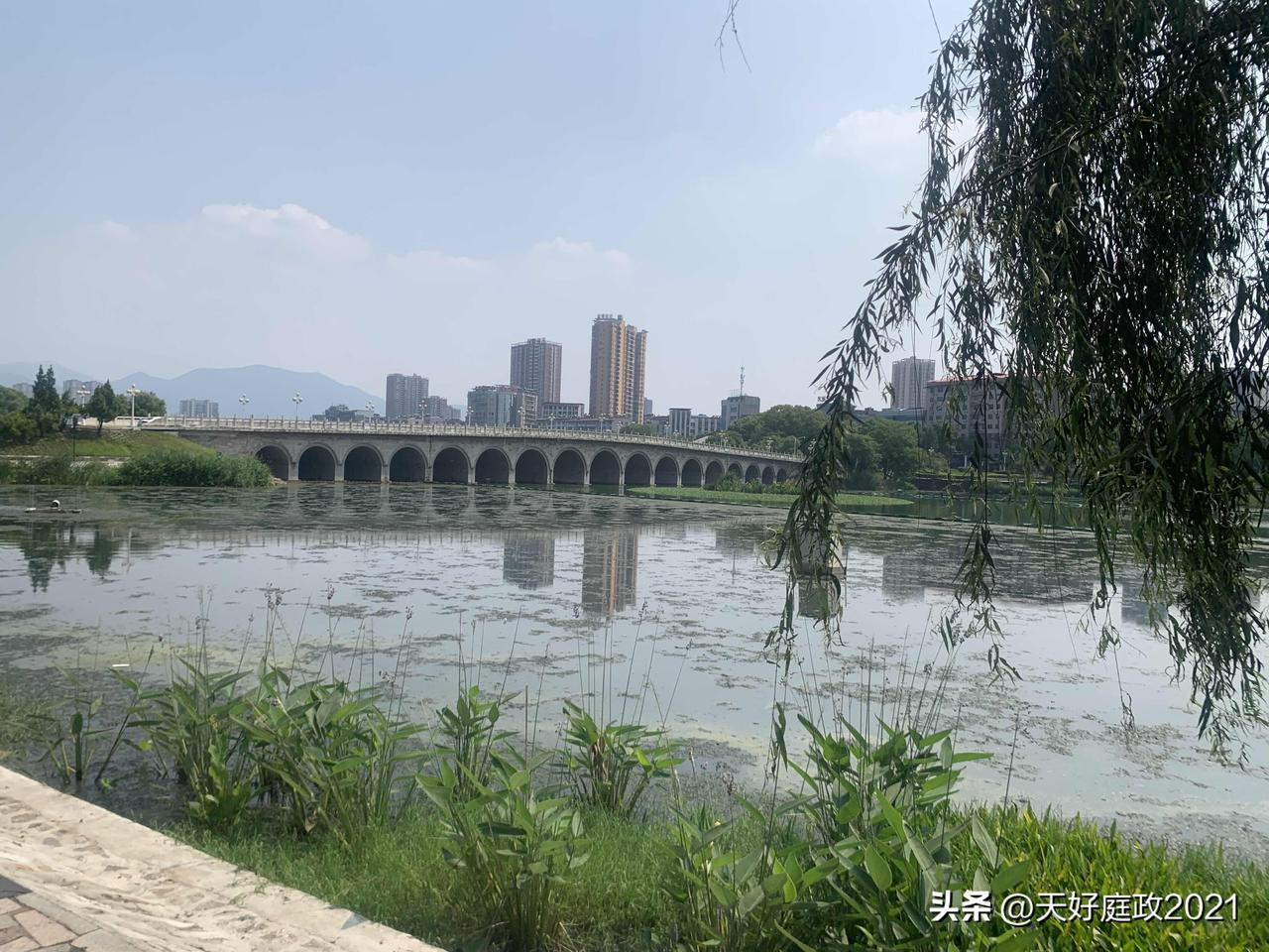 晴日暖阳铺满大冶湖的水面，波光粼粼的湖面像是铺开了一层碎金，微风掠过，层层涟漪缓