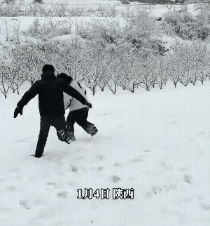 男子在雪地里搂胸放倒在地，还顺手打了两巴掌屁股的这个女子，不是他的妻子，而是妻子